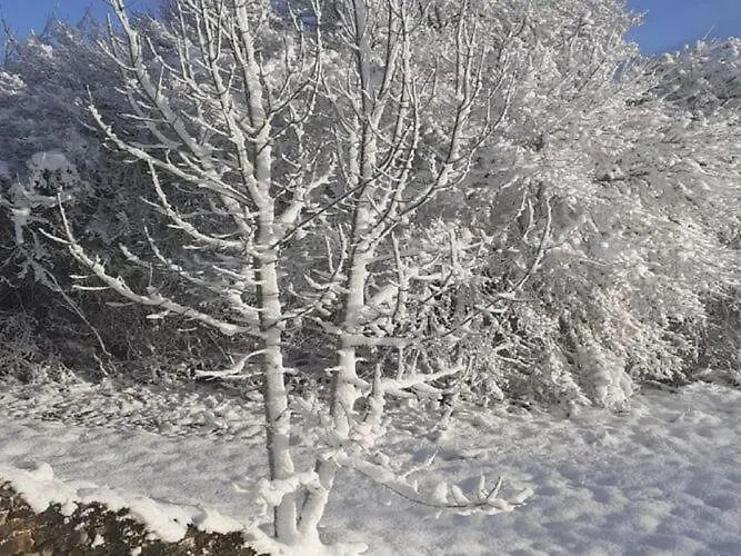 Prázdninový dům In Dordogne With Pool & Bubble Bath