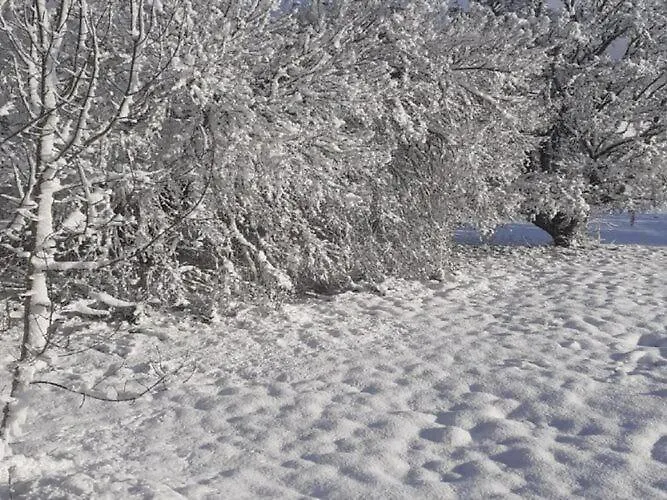 In Dordogne With Pool & Bubble Bath *